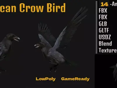 American Crow Bird Low-poly 3D model