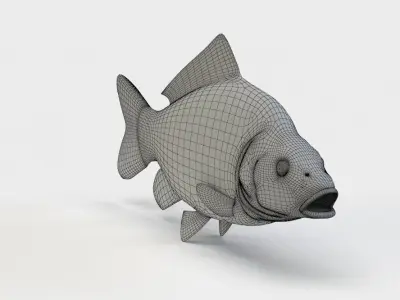 Mirror Carp Fish Cyprinus Carpio 3D model