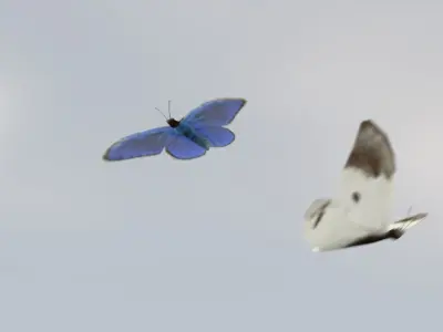 Background Butterflies and Moths Animated- Low Poly Low-poly 3D model