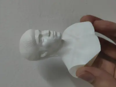 BRUCE LEE 3D Printable 3D print model