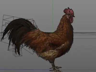 Rooster Animation fix Low-poly 3D model