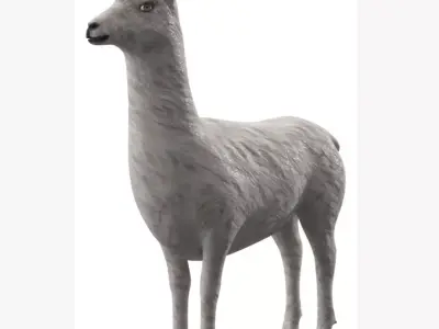 Low Poly Animal Cartoon Lama - Alpaca -  llama - Unwapped 4K Low-poly 3D model