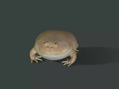 Toad Budgetts frog Free 3D model