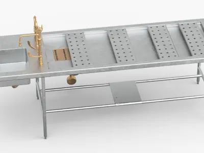 Forensic Pathology Station with Integrated Faucet 3D model