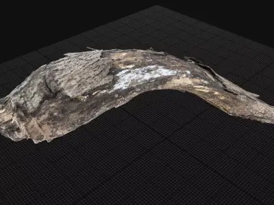 A piece of wood with bark 3d scan in highpoly 3D model