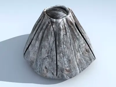 Adult Barnacle Balanus Low-poly 3D model