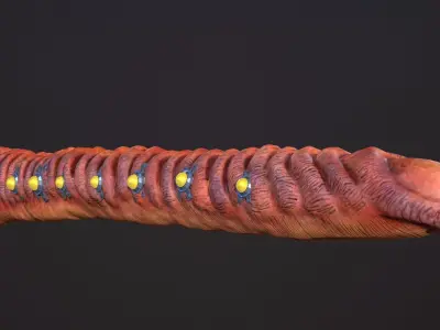 Sharkworm From Outer Space Low-poly 3D model