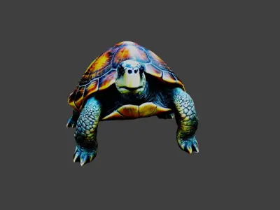 Turtle - Tortoise Animal Low-poly 3D model