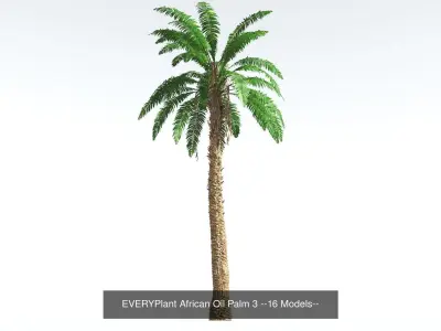 EVERYPlant African Oil Palm Bundle --64 Models-- 3D Model Collection