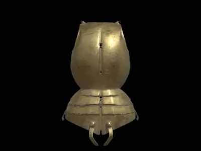 Golden Shield 3D model