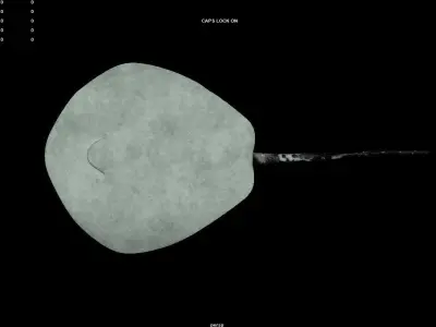 Round Ribbontail Ray Fish 3D model