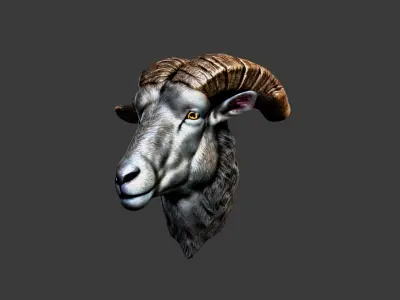 Deer Animal Head Low-poly 3D model