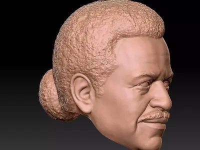 Shepherd Derrial Book 3D print model