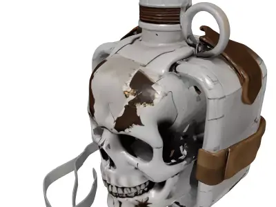 Grungy Skull Canteen Flask 3D model