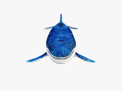Whale Free 3D model