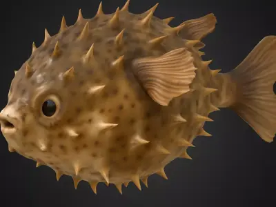 Puffy Delight - Stylized 3D Cartoon Pufferfish 3D model