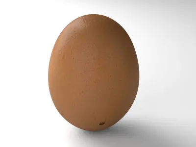 Egg 02 - Photorealistic Scan Low-poly 3D model