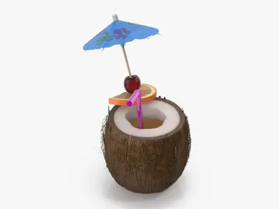 Tropical Drink 3D model