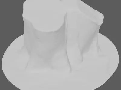 Tree Trunk for 3d Model - 3d Scan 3D model