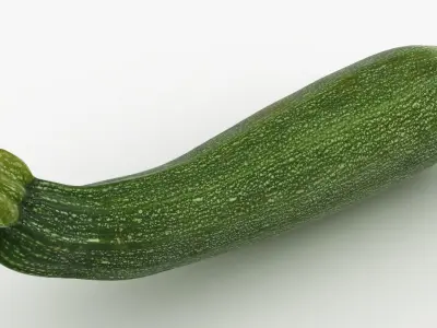 Zucchini Set 3D model