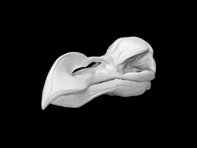 Dodo skull Low-poly 3D model
