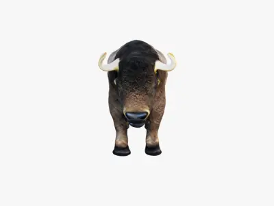 Buffalo Free 3D model