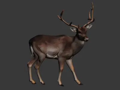sika deer 3D model