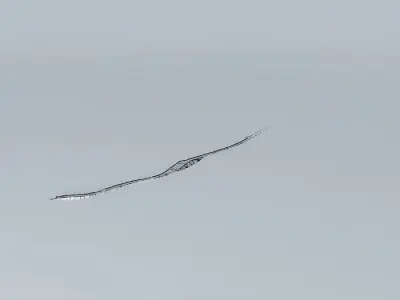 Paseo del Malecón Part 1 Free 3D model