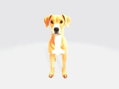 bet dog 3D model