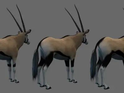 African Oryx Low-poly 3D model