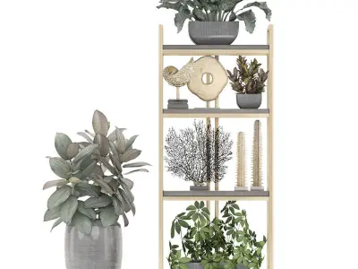 Rack with the decor of figurines and plants 3D model get