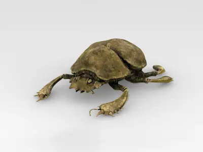 Golden scarab 3D model