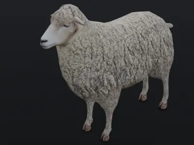 Animated Sheep 3D Model Low-poly 3D model