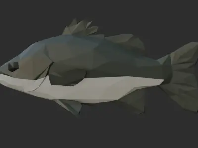 Low Poly Australian Bass Low-poly 3D model