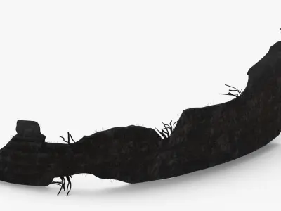 Tire Section 011 3D model