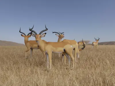 Gazelle antelope Low-poly 3D model