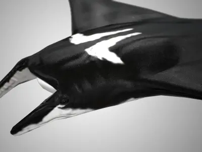 Manta Ray  Low-poly 3D model