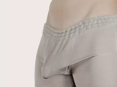 3D male penis scan Blend Shape 05 3D model