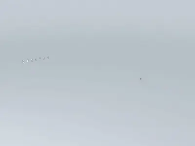 SS Panels Free 3D model