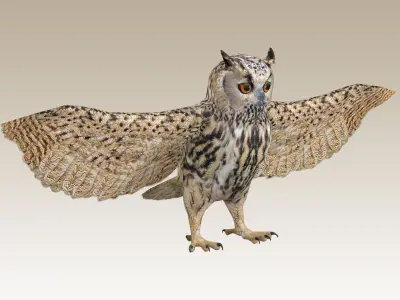 Great Horned Owl  Low-poly 3D model