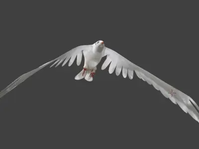 seagull animated 3D model