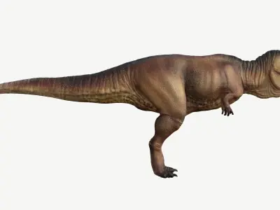 Giganotosaurus tyrannosaurus Low-poly 3D model