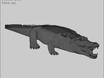 Crocodile RIGGED 3D model