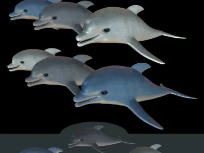 Dolphin model Low-poly 3D model