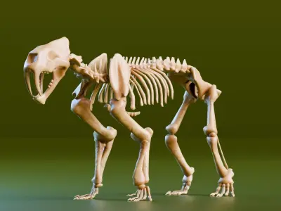 Relistic Mammals Fossil - Sabertooth Low-poly 3D model
