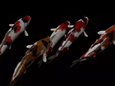 Koi fish Low-poly 3D model