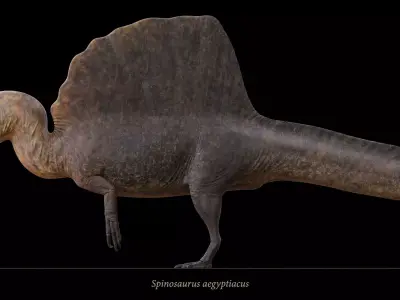 Spinosaurus aegyptiacus Low-poly 3D model