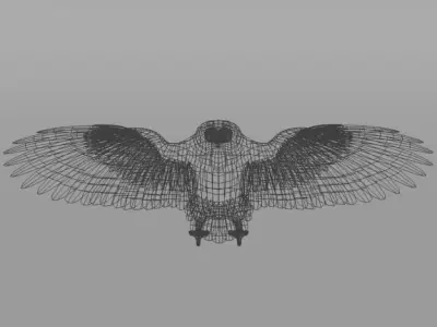 Owl bird Low-poly 3D model