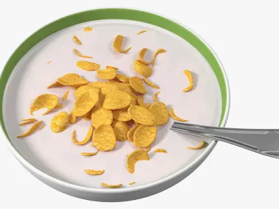 Bowl of Breakfast Cereals with Milk Collection 3D model
