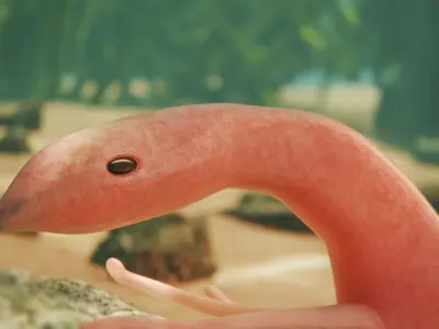 Hallucigenia Low-poly 3D model